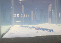В музее наступило антарктическое лето