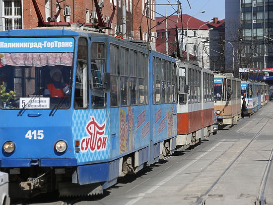 Калининградцы остались недовольны маршрутной сетью, разработанной специалистами из Санкт-Петербурга