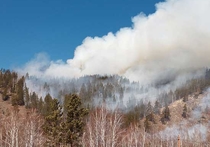 Почему Бурятия не смогла добиться денег на тушение и профилактику лесных пожаров 