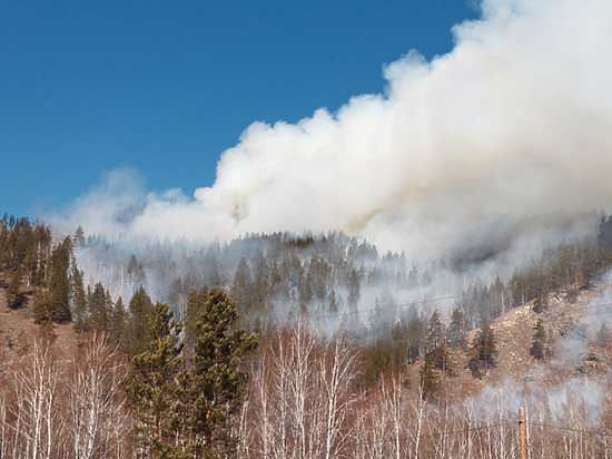 Лесные пожары в Бурятии привлекли внимание Госдумы России
