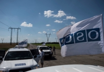 Почему глава МИД Украины проигнорировал поджог машин ОБСЕ