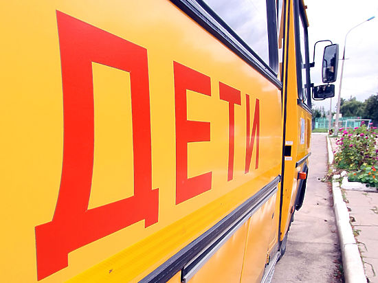 Ради снижения смертности на дорогах требования к школьным автобусам могут быть пересмотрены 
