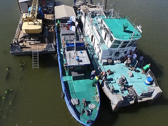 Опустились на дно