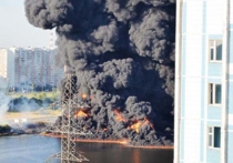 Пожар на Москве-реке мог возникнуть из-за брошенной петарды 