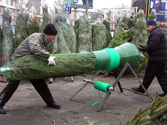 Дизайн елочных базаров утвердят сами москвичи