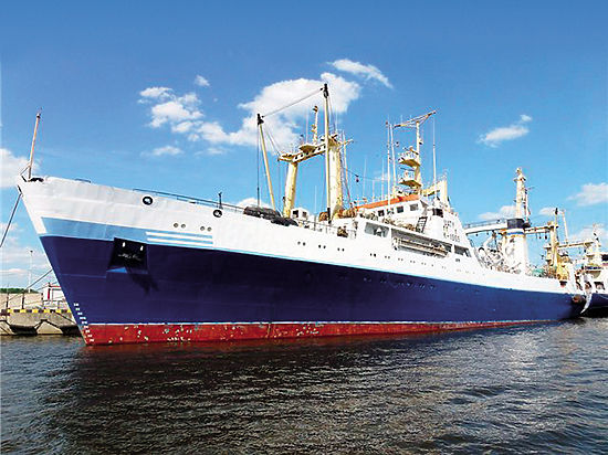 Чтобы ловить рыбу, сначала надо построить флот