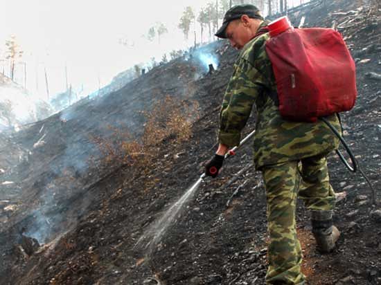 По предварительным данным, ущерб от лесных пожаров уже превысил 5 миллиардов рублей