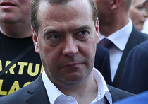 Часть визита на Курилы Медведев посвятил перееханному джипом медведю