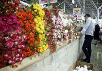 Россия запретила свободный ввоз голландских цветов
