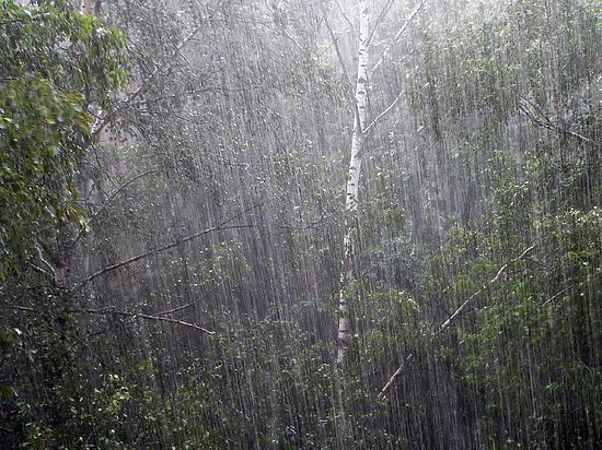 Правда, у берегов России унесший жизни двух десятков филиппинцев тайфун изрядно ослаб