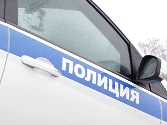 СК РФ пообещал наказать полицейских, допустивших изверга к работе с детьми