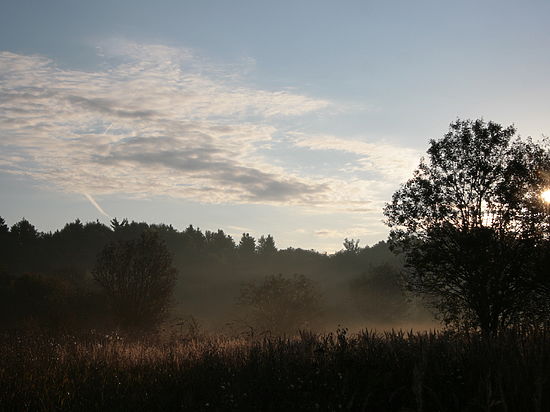 «Меркулов побежал в поле, прятался в траве и между деревьями»