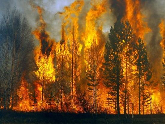 Директор Департамента надзорной и профилактической деятельности МЧС РФ: «Основная причина пожаров — это пресловутый человеческий фактор. А если говорить как есть — беспечность и халатность»