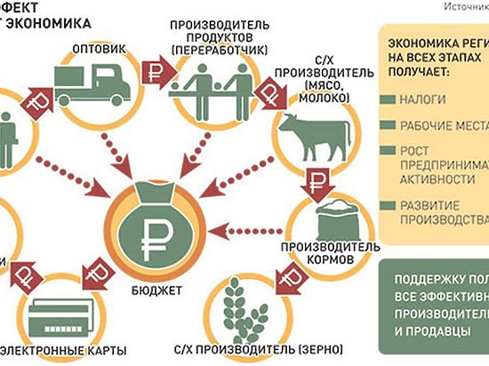 В Россию с 2016 года могут вернуться продовольственные карточки