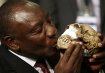 Антропологи нашли новый вид человека - Homo naledi 