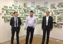 Экзит-полы: ПАРНАС на грани прохождения в Костромскую облдуму