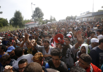 Беженцы устроили майдан на границе с Венгрией: свидетельства из соцсетей