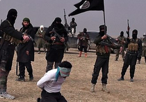 Аналитики разведки США сообщили про цензуру их докладов об ИГИЛ