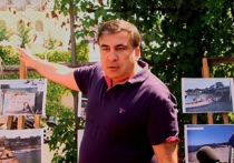 Саакашвили зовет на помощь борца с ворами в законе