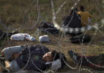 Беженец под ключ: сирийцы описали в блогах «путь шахидов» в Европу