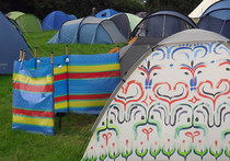 Во время чемпионата мира по футболу Подмосковных болельщиков поселят в палатках