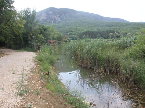 Торопова дача севастополь фото