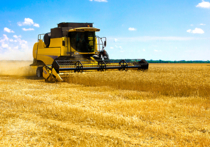 Госдума может рассмотреть законопроект «Об особо значимых аграрных субъектах РФ» уже этой осенью
