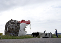 В останках погибших при крушении "боинга" MH17 найдены осколки "Бука"