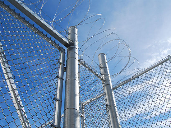 И это несмотря на то, что думские юристы раскритиковали жестокий законопроект