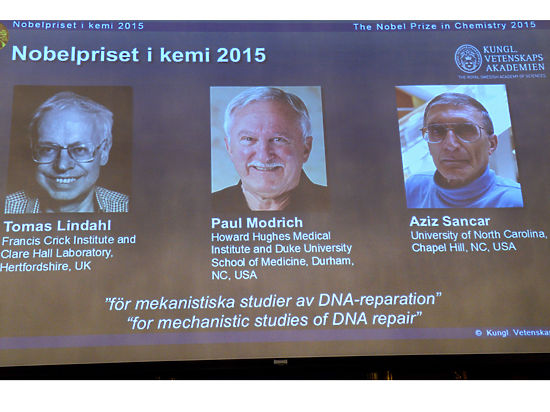 В Институте молекулярной биологии им. Энгельгарта РАН прокомментировали вручение Нобелевской премии по химии - 2015 