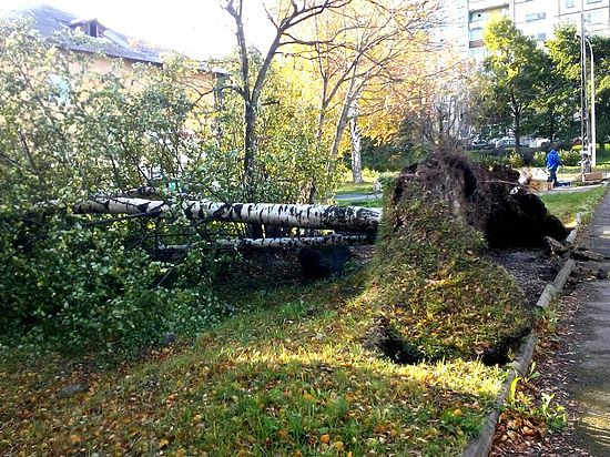 Шторм прошелся по сотне с лишним населенных пунктов и тысячам жителей Карелии