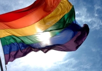 Милонов предложил закрыть ЛГБТ-активистам въезд в Россию