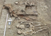 На экспертизу в Германию пришли скелеты великанов из Латинской Америки