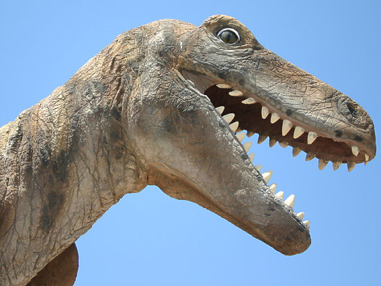 Ученые поставили точку на многолетнем споре по поводу метаболизма динозавров