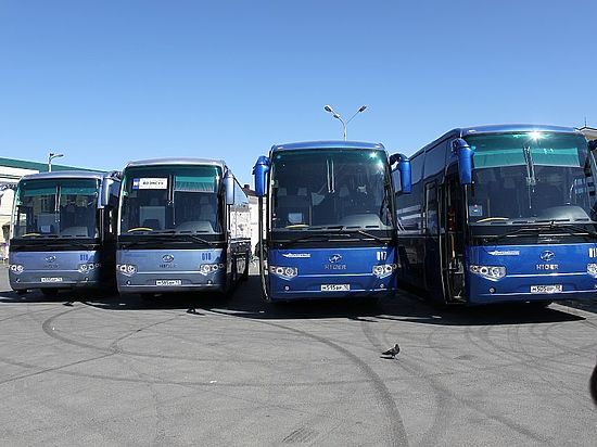 Карельские депутаты попросили губернатора проверить «Карелавтотранс»