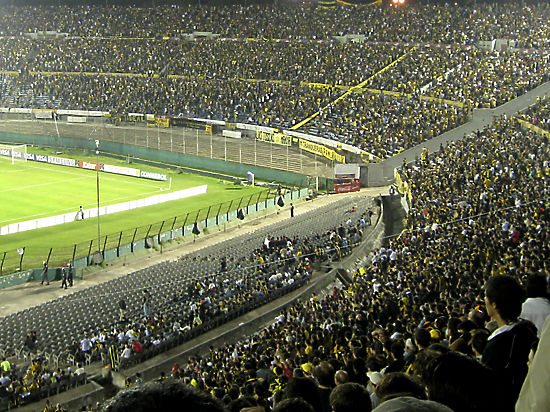 На киевском стадионе могут открыть "антирасистский" сектор для темнокожих фанатов