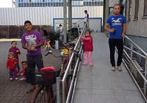 «Беженцы, берите, что дают»: в Голландии зреет бунт против  мигрантов