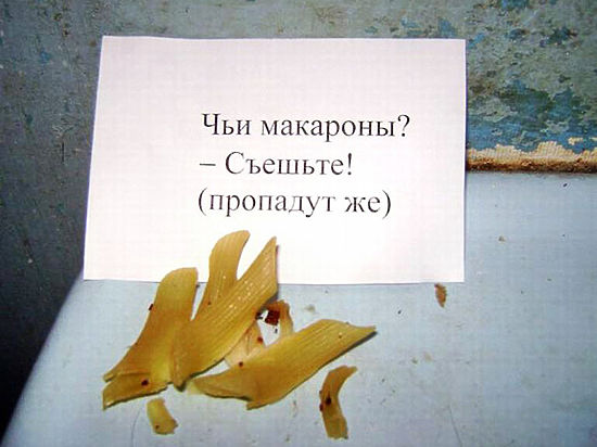 Не живу – выживаю? Рассматриваем плюсы и минусы общежитий и съемных квартир