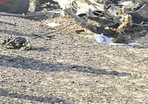 Мародеров на месте крушения A321 пристрелят без предупреждения