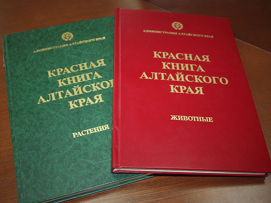 В новую Красную книгу Алтайского края войдут животное, растение и гриб
