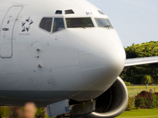 Эксперт прокомментировал решение МОК