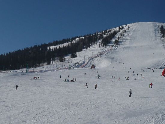 В Шерегеше запретили ездить на снегоходах по горнолыжным трассам 