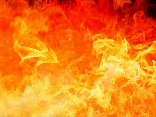 Предложение разработано вслед за обещанием министра Ткачева бороться растительными жирами в молочной продукции