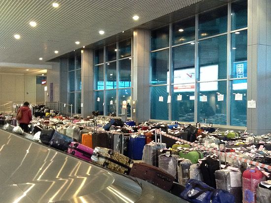 Из 10 тысяч чемоданов, прибывших из Египта, забрали меньше половины