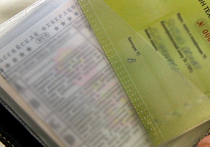 Например, свидетельства о браке и рождении могут приобрести форму карточки не больше обычного паспорта
