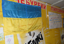 24 ноября ремонтников обещали допустить до одной из взорванных линий электропередачи на Крым
