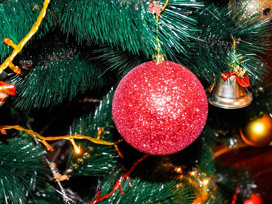 Рождественские елки бьют рекорды огнями и ценой