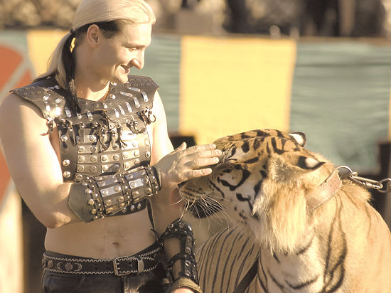 «Если тигр его убьет, все будут крайне опечалены»