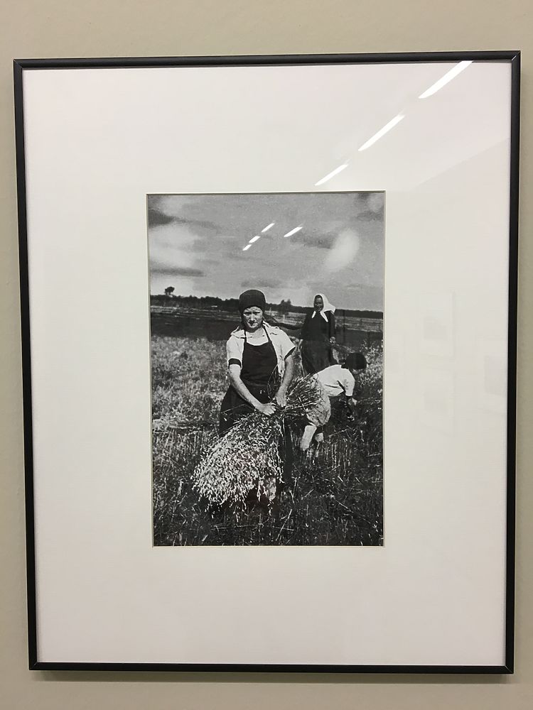 В Мультимедиа Арт Музее открылась фотовыставка Михаила Пришвина