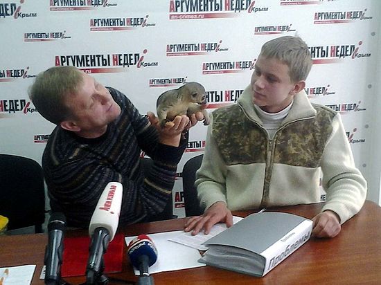 Зубков: "Эти вчерашние герои революции не дают развиваться частному бизнесу в Крыму"